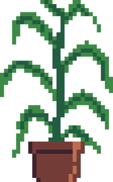 Indoor tree